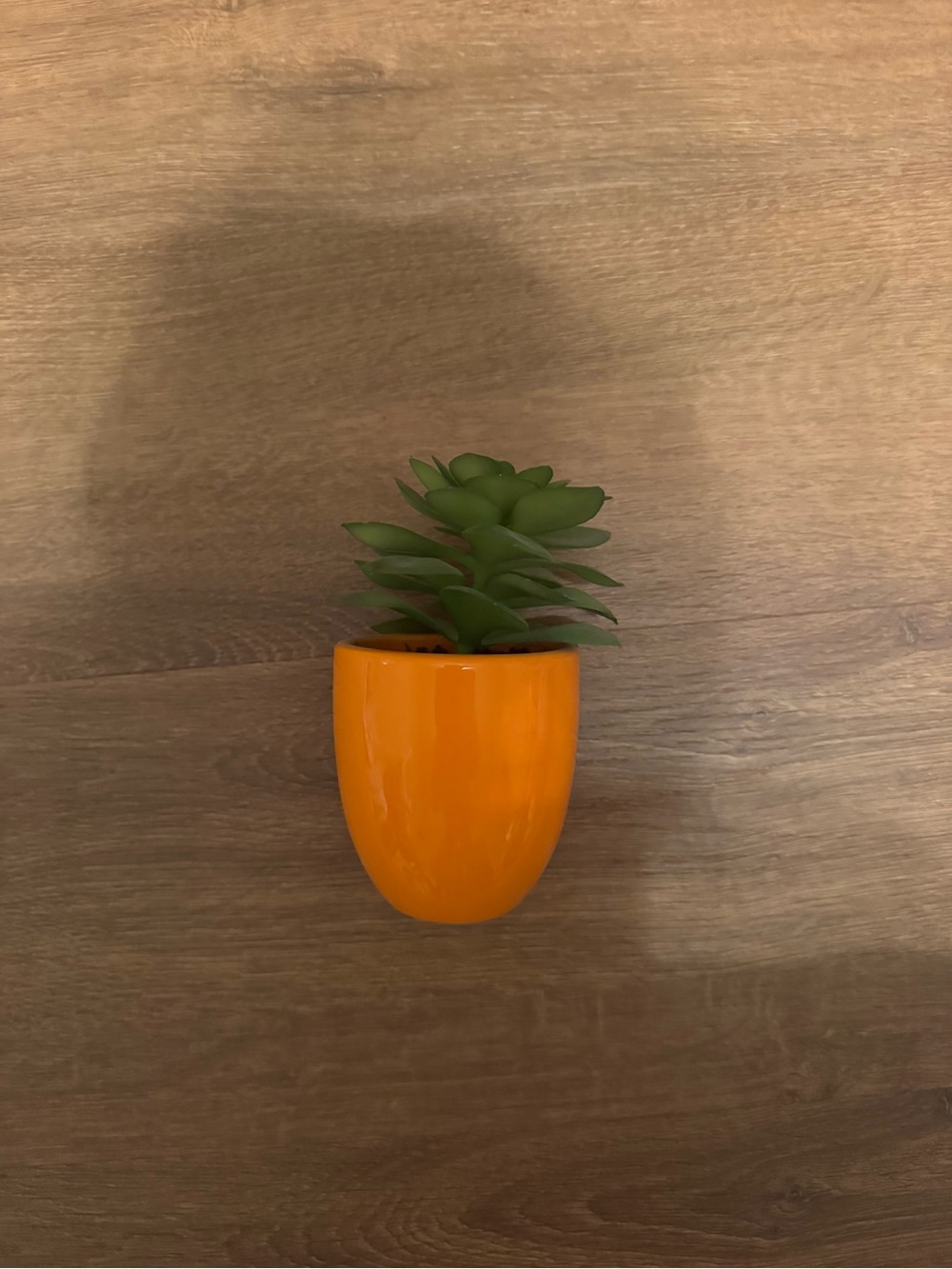 Orange Ceramic Wall Vase with Green Succulent - Home Accents